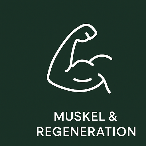 Muskel & Regeneration
